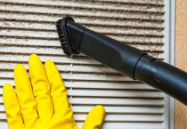 Best Affordable HVAC Duct Cleaning  in Big Lake, TX